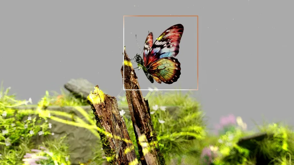 DAM and AI visual search