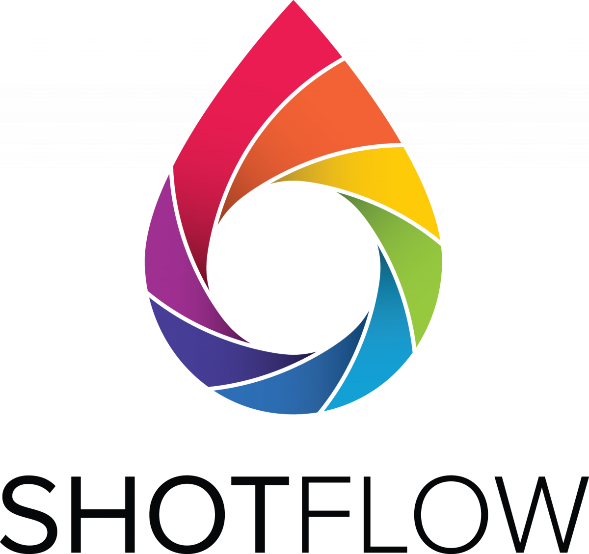 ShotFlow Logo
