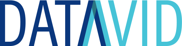 DataVid Logo
